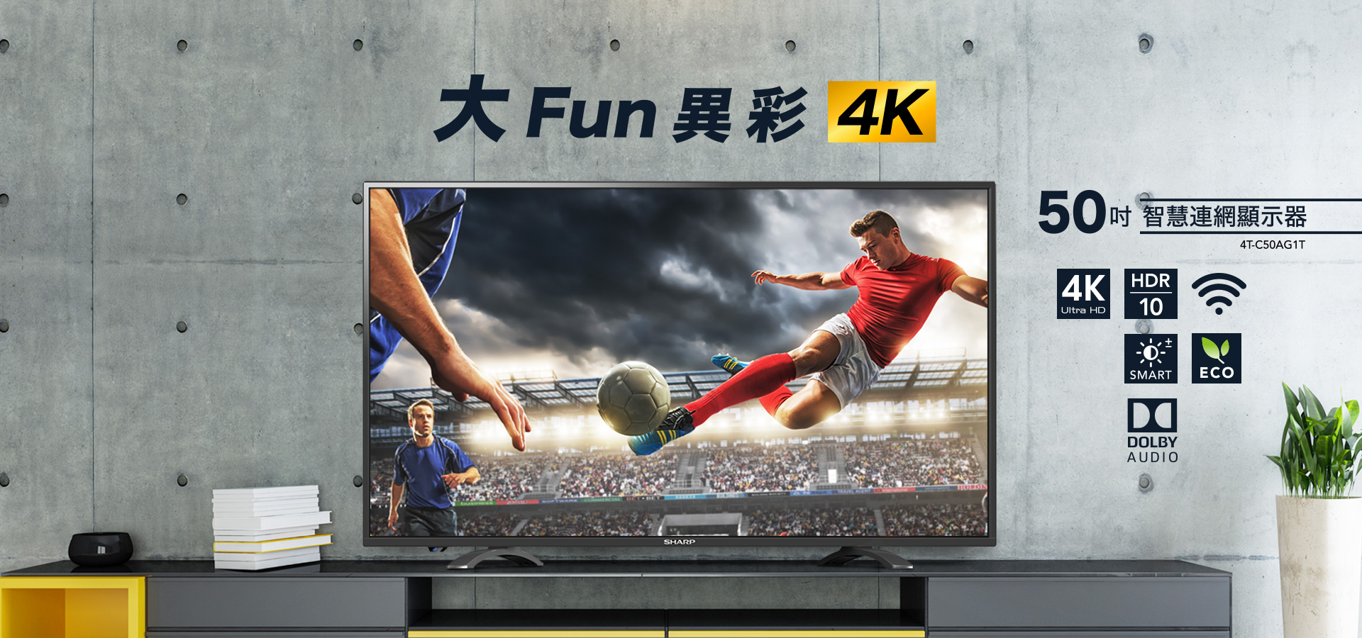 大FUN異彩 4T-C50AG1T 