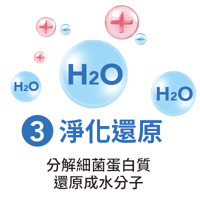 淨化還原