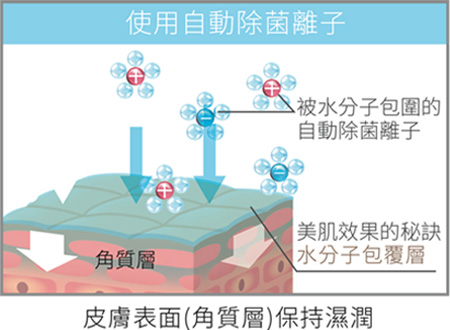滋潤美肌必備空間循環保濕